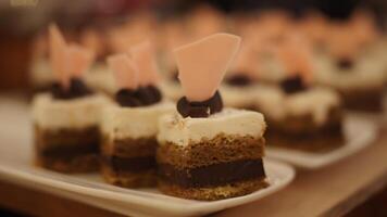 A plate of desserts photo