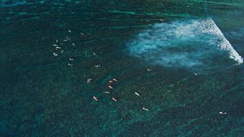 Surfers in clear transparent ocean waiting waves. Aerial view with surfing on wave. video
