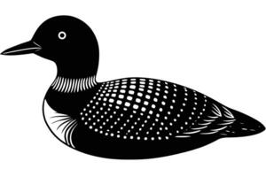 Cute Common Loon on White Background vector
