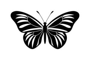 Elegant Butterfly Silhouette Design vector
