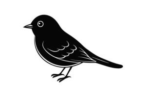 Adorable Eastern Bluebird on White Background vector