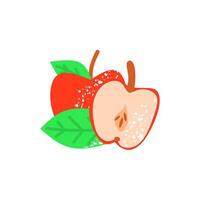 Freshly Sliced Apples with Leaves vector