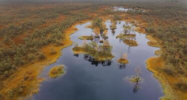 landscape of swamp with lakes and forest from drone photo