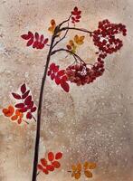 a rowan branch covered with frost outside the window photo