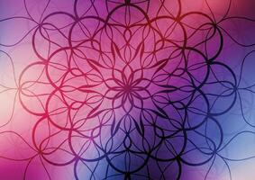 Flower purple modern pattern art gradient background vector