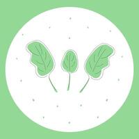 Fresh green spinach leaves in white circle on green background vector