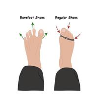 Barefoot shoes. Compare regular vs barefoot shoes. This shoe has a flexible upper and outsole that allows the feet to move and flex naturally, and effectively engage every bone vector