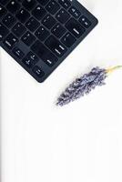 Above photo of computer keyboard and mouse isolated on gray background with empty space