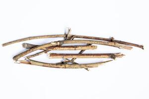 Dry tree twigs branches isolated on white background. close-up photo