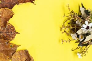 Mother's Day concept. Top view vertical photo of gold leaf on isolated yellow background with empty space