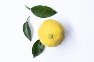 lemon isolated on white background with clipping path photo