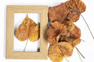 Autumn composition. Gold leaf, photo frame on white background. Autumn, autumn concept. Flat lay, top view, copy space