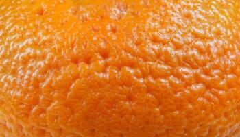 macro close-up of bright orange seville orange peel showing rough bumpy citrus texture photo