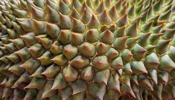close-up of durian peel featuring spiky green and brown texture with intricate details and natural patterns photo