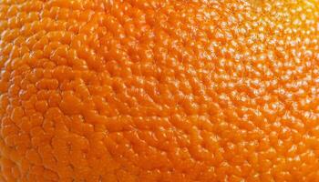 close-up of mandarin orange peel showcasing its vibrant color and bumpy textured surface photo