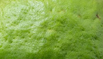macro close-up of guava peel showing its light green and slightly bumpy textured surface photo
