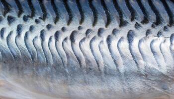 macro close-up of a swordfish's metallic skin showcasing shimmering silver tones and unique linear patterns photo