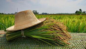 close-up of a farmer straw hat resting on freshly harvested rice stalks in a lush green paddy field photo