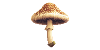 Brown toadstool mushroom with textured cap isolated on transparent background png