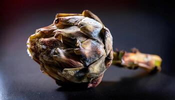 macro close-up of a moldy artichoke with dried outer leaves and fungal growth on its surface under dramatic lighting photo