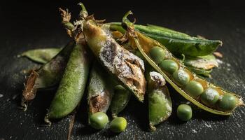spoiled snap peas with moldy pods and wrinkled texture showcasing natural decay on dark background photo