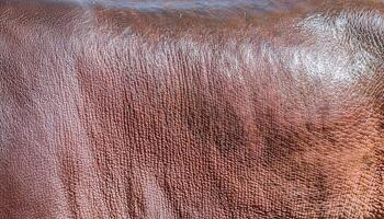 macro view of hippo skin texture showcasing its smooth, wrinkled, and water-resistant surface with natural brown tones photo