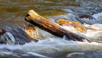 dynamic close-up of a weathered log lodged in a fast-flowing river with sunlight reflecting off the rippling water for nature and outdoor concepts photo