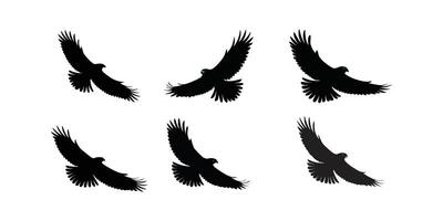 Minimalist Bald Eagle Silhouette Powerful Bird in Flight Sleek and Iconic Design vector