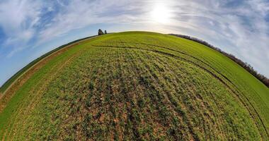 little planet transformation with curvature of space among fields in blue sky with clouds video