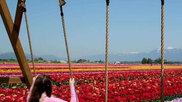 girl riding on a swing fields of Kazakhstan. Spring flowers under the rays of sunlight. Beautiful landscape of nature. Hi spring. Beautiful flowers on a green meadow. video