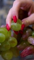 Rotation of Shine Muscat grapes. white background girl's hand with red manicure looking at touching grapes video
