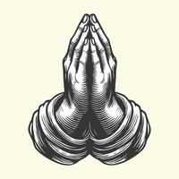 Praying hands with folded arms on a white background vector