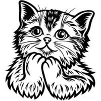 A black and white drawing of a kitten vector