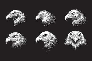 Eagle head set of different styles of bald eagle head vector