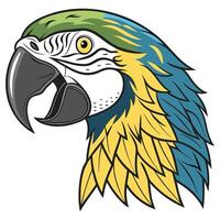 illustration of a parrot head vector