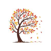 Autumn tree with leaves illustration vector