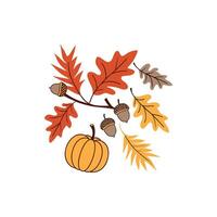 Autumn leaves and pumpkin on a branch vector