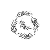Olive branch logo design vector