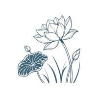 A lotus flower and a leaf on a white background vector