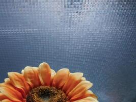 The fake flowers on the window express loneliness in winter. photo
