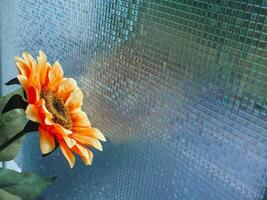The fake flowers on the window express loneliness in winter. photo