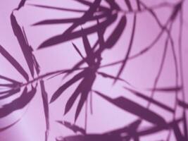 Bamboo leaf shadow in purple light for natural abstract minimalist background photo