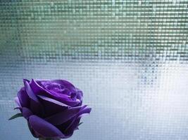 The fake flowers on the window express loneliness in winter. photo