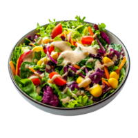 Tasty Salad with Crisp Vegetables and Dressing png