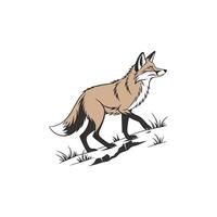 A fox walking on a hillside vector