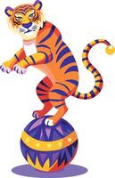 Circus tiger performing with a ball illustration in flat style vector