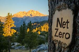 A Promise Kept. Majestic mountain landscape at sunset with a carved Net Zero sign on a tree trunk photo