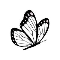 realistic butterfly illustration design vector