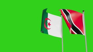 Algeria and Trinidad and Tobago Flags Waving Together on Green Screen Representing International Partnership video