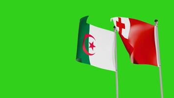 Algeria and Tonga Flags Waving Together on Green Screen Representing International Partnership video